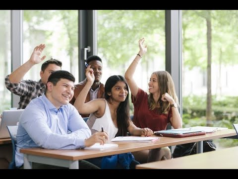 School group. Бизнес школа. Школа по бизнесу. Лучшие мировые бизнес школы. Топ бизнес школы.